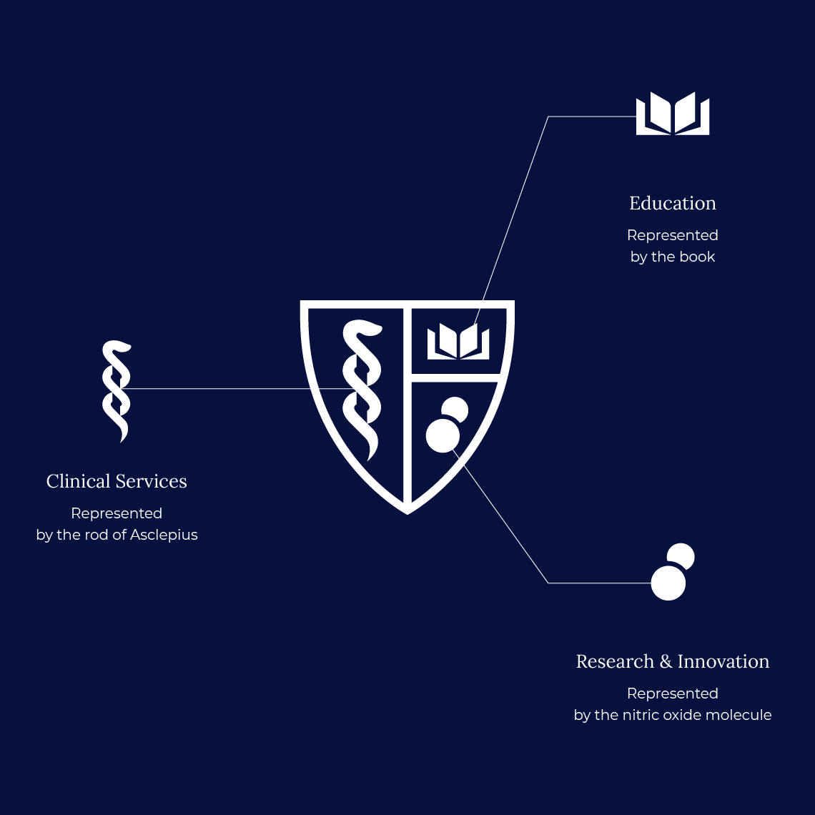 The new logo and it's components explained: OMNRAE designed a modernized shield that highlighted Downstate’s focus on research, education, and care, to reinvigorating this Medical Center and University