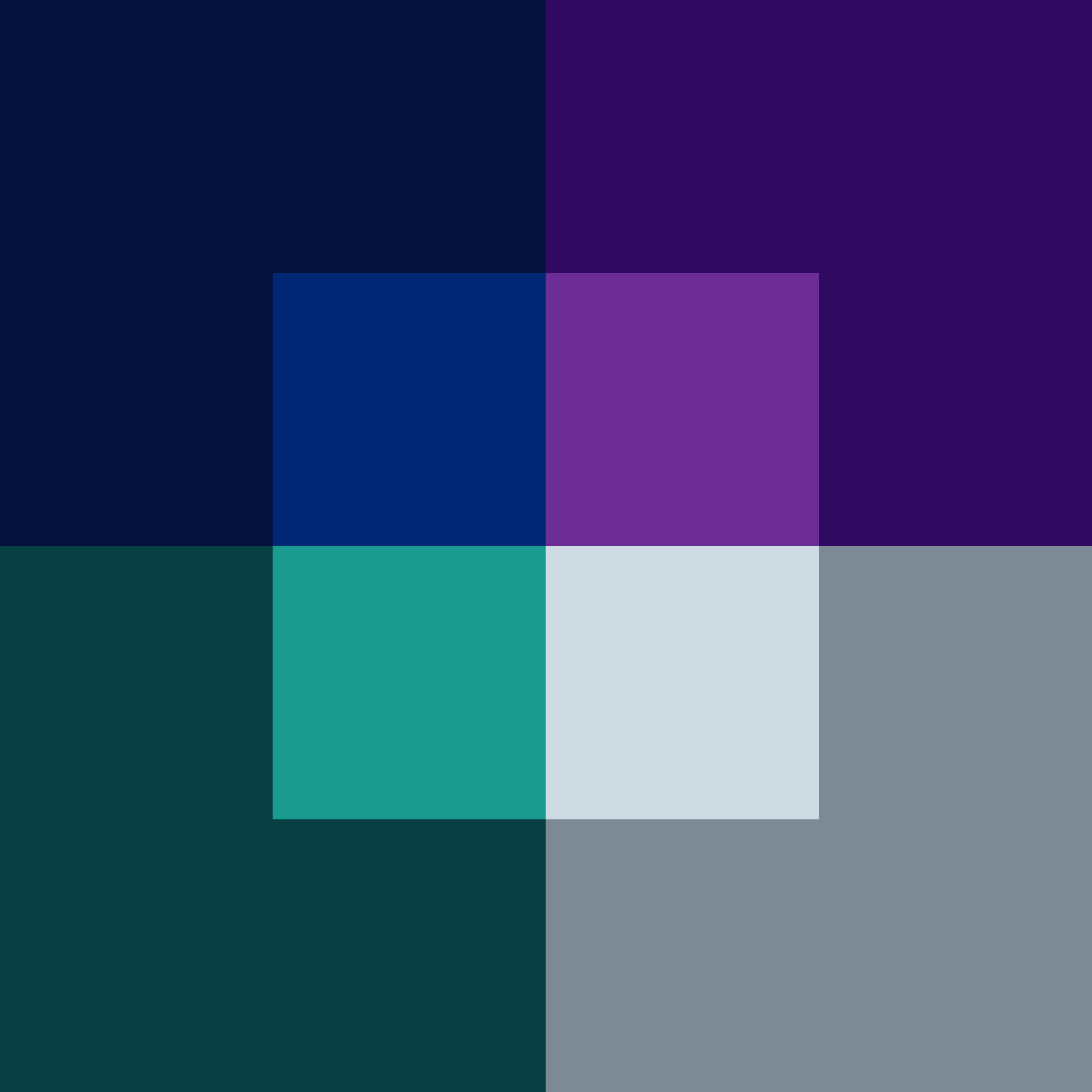 OMNRAE designed a new design system combined fresh typography with rich navy blues and secondary highlight hues of violet, greens and grays.