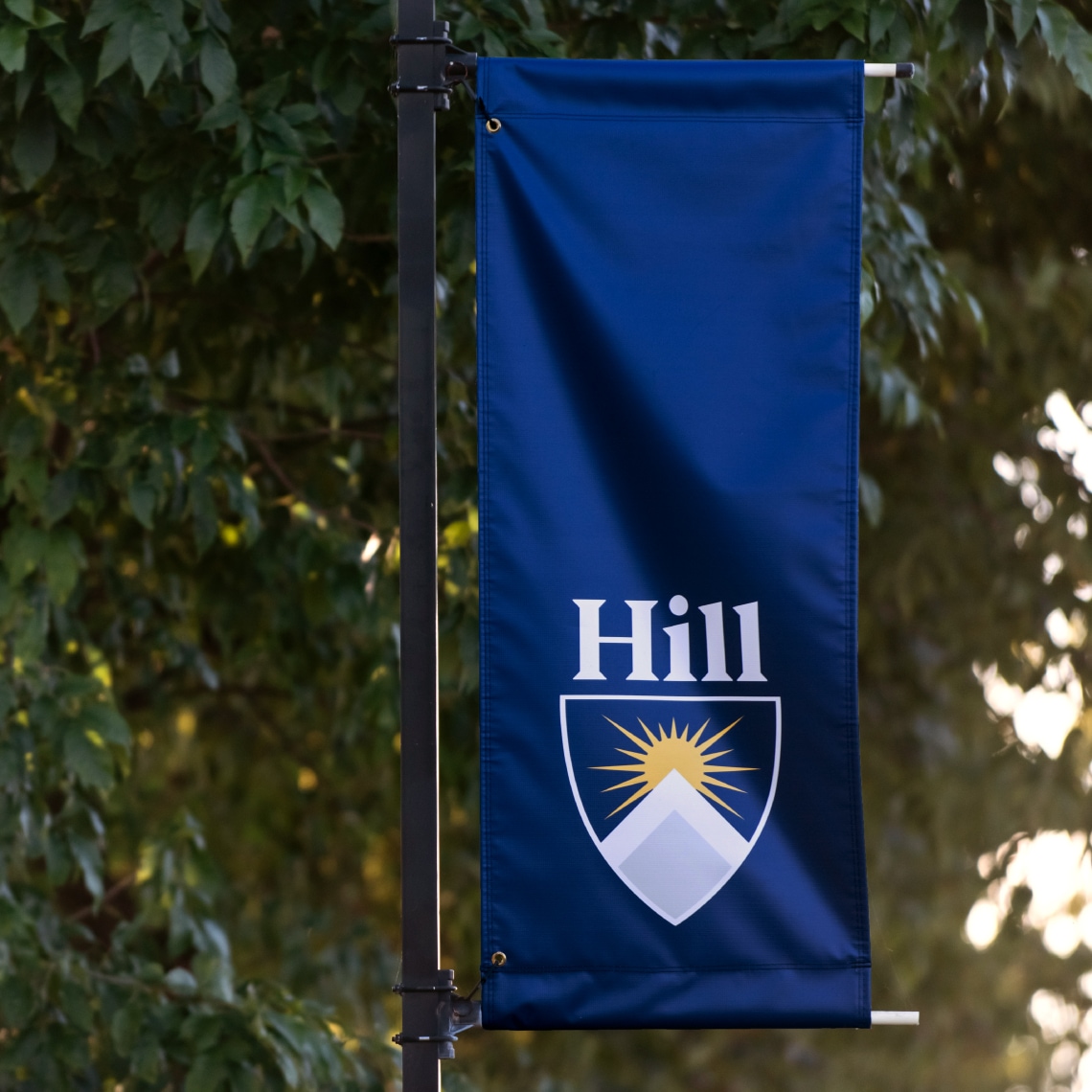 A large vertical banner showing how the design identity could be represented