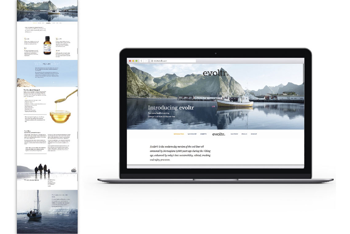 A laptop showing the website developed for evoltr, and 1 example of the entire landing page
