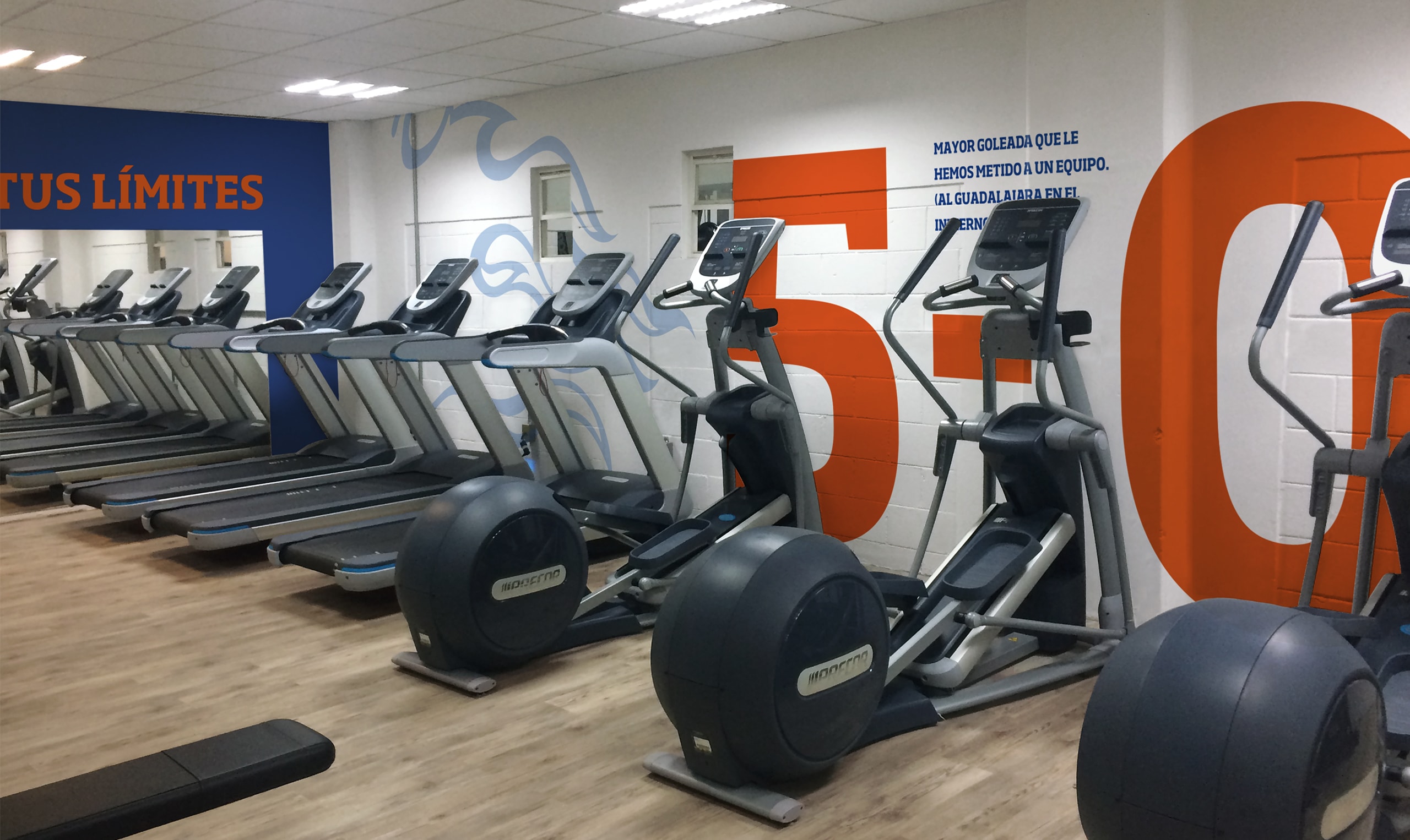 A new vision of tread machines in a gym.